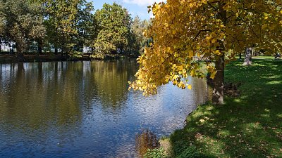 https://www.i60.cz/images/thumbs/16-374.jpg