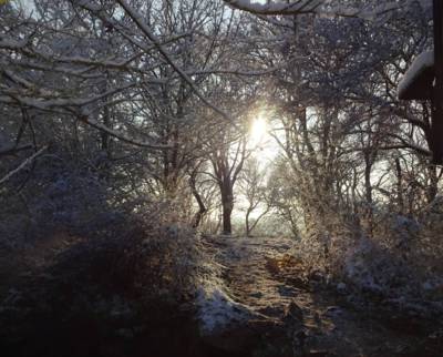 17-beze-slov.jpg