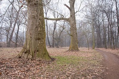 18-91.jpg