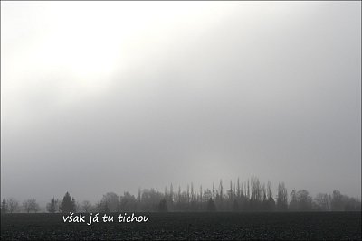 18-95.jpg