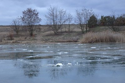 18-tani.jpg