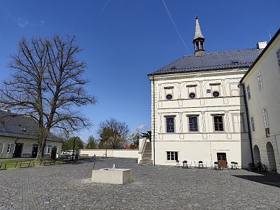2-459.jpg
