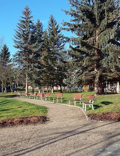V parku