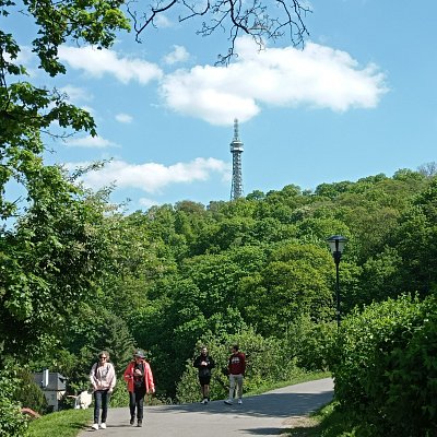 20-267.jpg