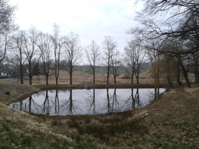 Zrcadlení