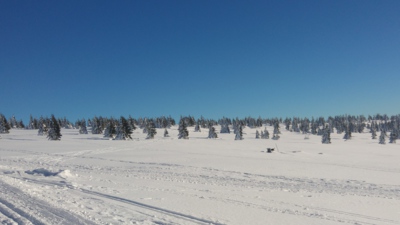 20170121_112624.jpg