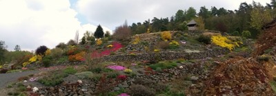 Arboretum Paseka