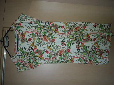 20170825-081309.jpg