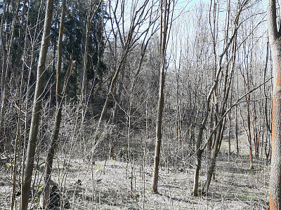20190330-123757.gif
