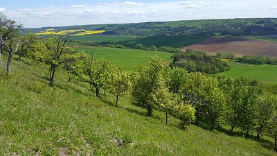 20190513-125443.jpg