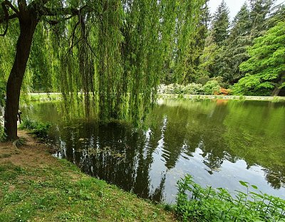 20200522-112047.jpg