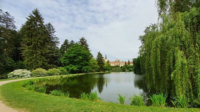 20200522-112150-1.jpg