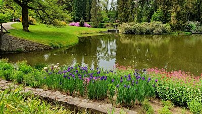 20200522-112307-1.jpg