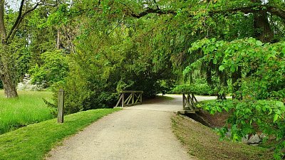 20200522-112703.jpg