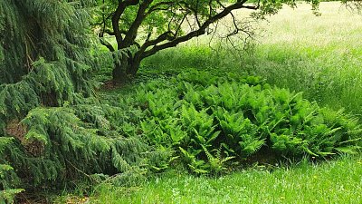 20200522-113228-1.jpg