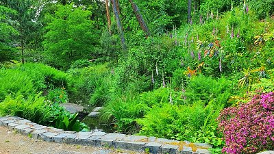 20200603-172626.jpg