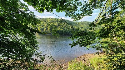 20200815-173330.jpg