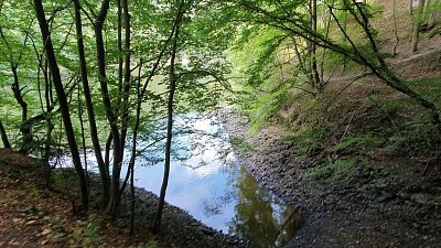 20200815-174347.jpg