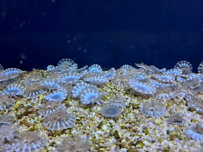 20201004-140110.jpg