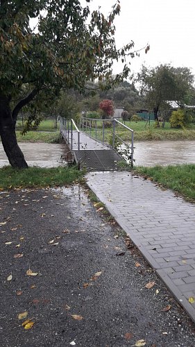 20201014-101737.jpg