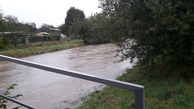 20201014-101805.jpg