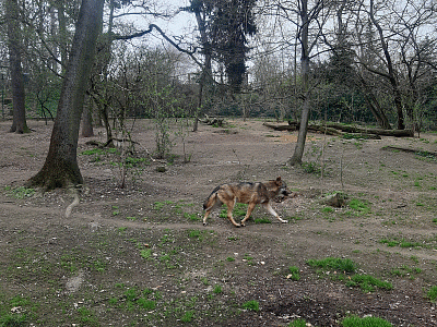 20210415-102849.gif