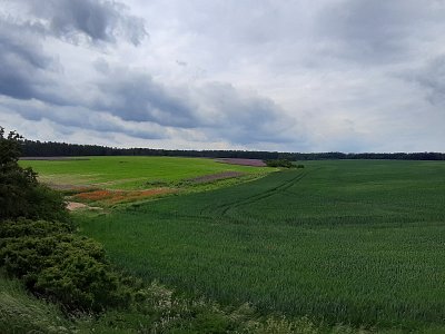 20210612-115539.jpg