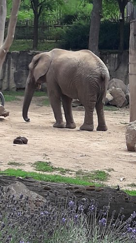 20210722-121901.jpg