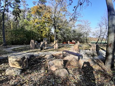 20211030-143517.jpg