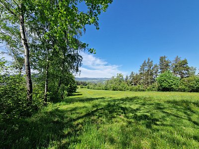 20240515-115037.jpg