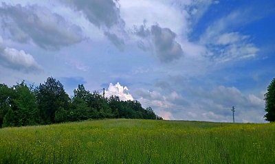20240526-152917.jpg