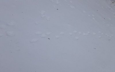 20241210-104712.jpg