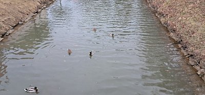 20250310-170159.jpg