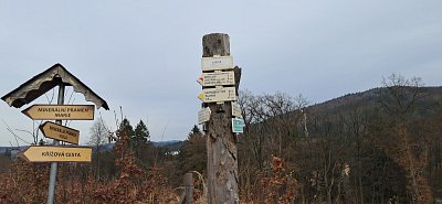 20250311-140445.jpg