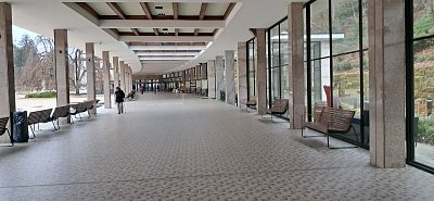 20250313-090037.jpg