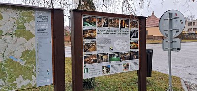 20250313-111846.jpg