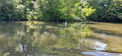 20250513-153701.jpg