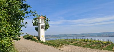 20250514-101840.jpg