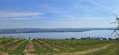 20250514-101910-1.jpg