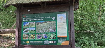 20250514-102324.jpg