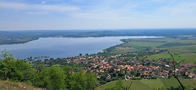 20250514-105530.jpg