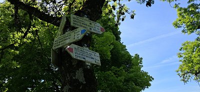 20250514-113053.jpg