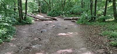 20250514-115952.jpg