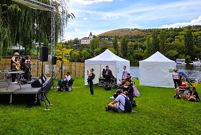 VEDLE JEDLE FEST *