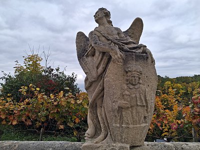 Duše raduje se.....*