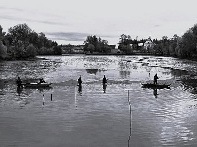 Výlov - natahování sítí