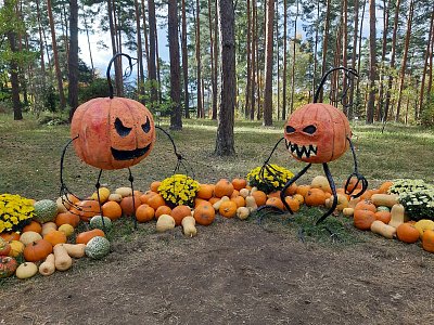 Dýně v Botanické zahradě