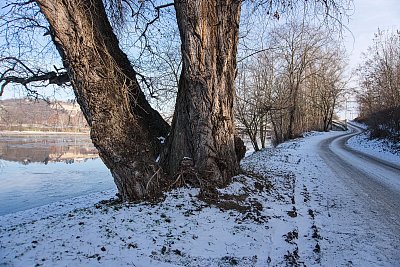 U Vltavy