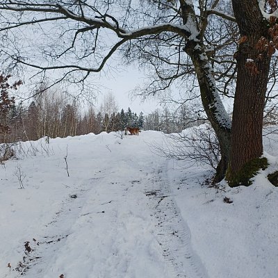 20260219-125113.jpg