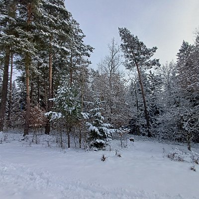 20260219-133749.jpg